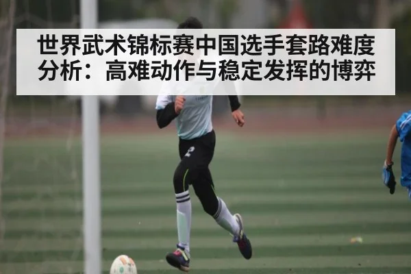 世界武术锦标赛中国选手套路难度分析：高难动作与稳定发挥的博弈