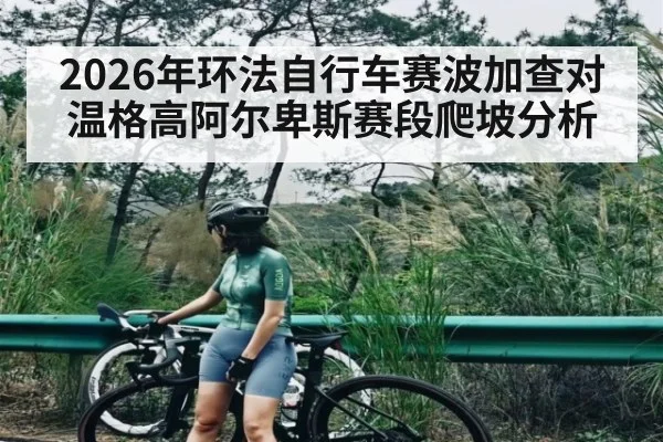 2026年环法自行车赛波加查对温格高阿尔卑斯赛段爬坡分析